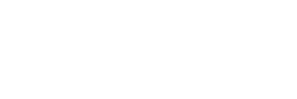 Citroën erhverv